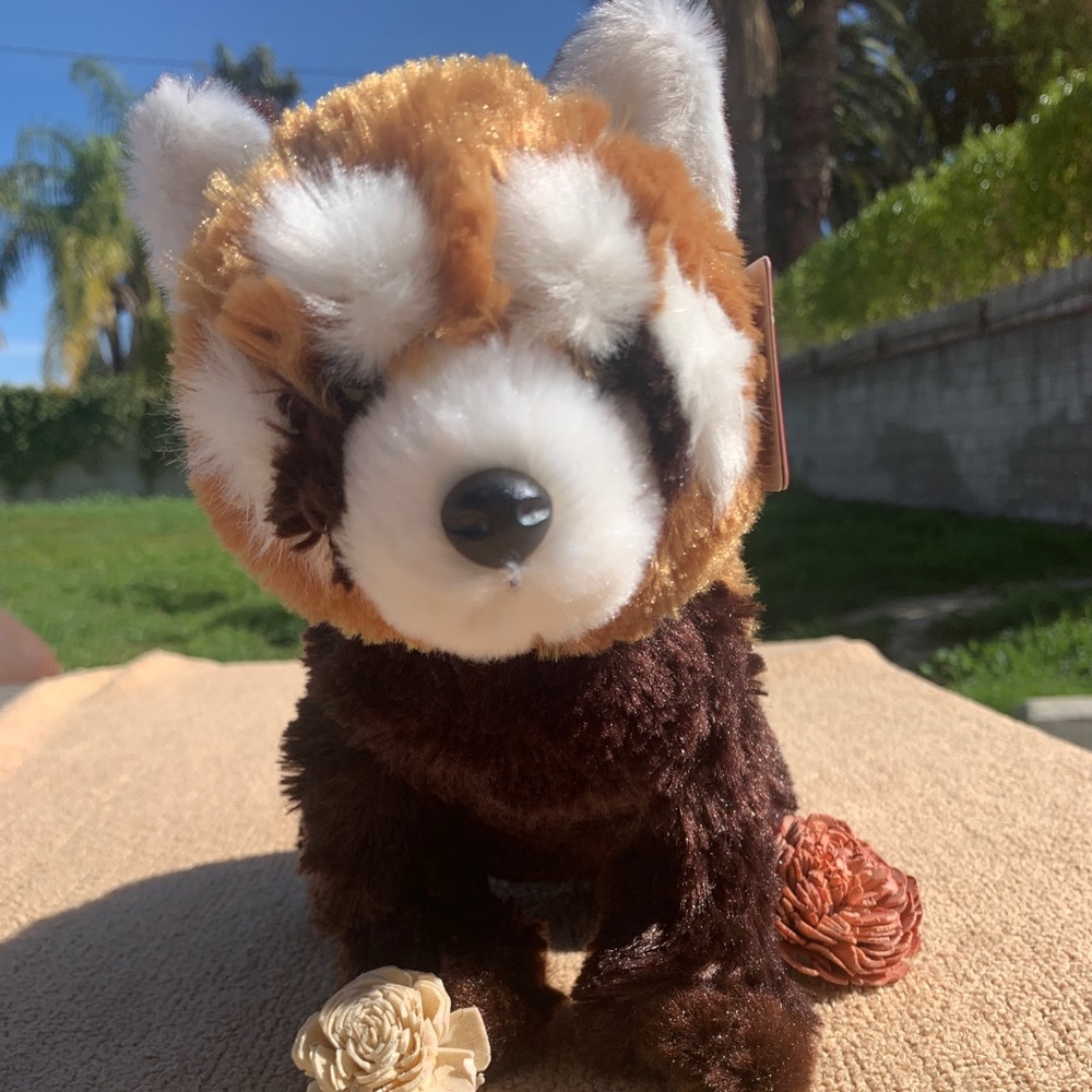 New Red panda teddy bear! ❤️